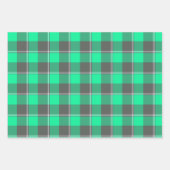 Spring Green and Finlandia Plaid Inpakpapier Vel (Voorkant 3)