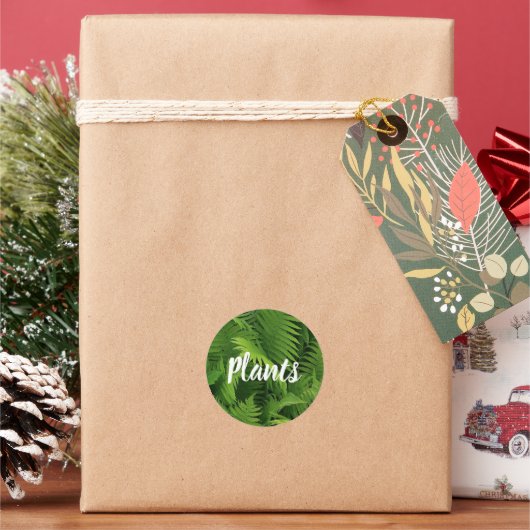 SPRING GREEN FERN FOTO ROUND STICKER (Feestdagen)