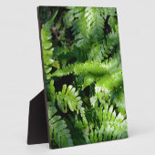 Spring Green Ferns boho botanisch Fotoplaat (Zijkant)