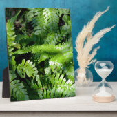 Spring Green Ferns boho botanisch Fotoplaat (Zijkant)