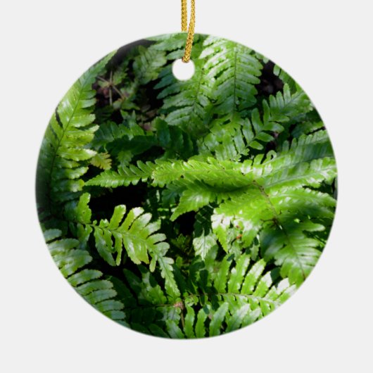 Spring Green Ferns boho botanisch Keramisch Ornament (Voorkant)