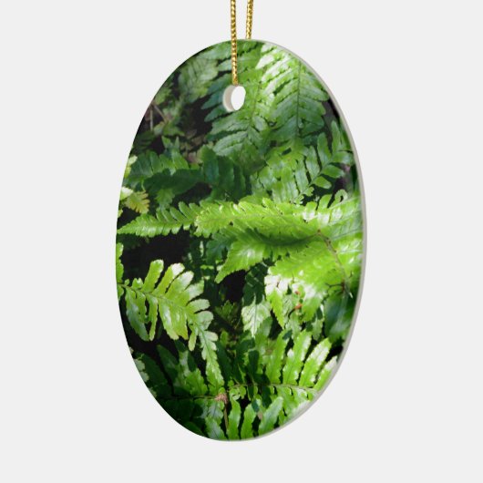 Spring Green Ferns boho botanisch Keramisch Ornament (Links)