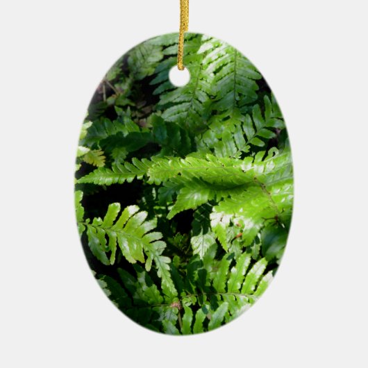 Spring Green Ferns boho botanisch Keramisch Ornament (Voorkant)