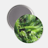 Spring Green Ferns boho botanisch Magneet (Voorkant / Achterkant)
