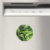 Spring Green Ferns boho botanisch Magneet (Insitu (Vaatwasser))