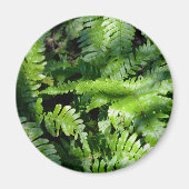 Spring Green Ferns boho botanisch Magneet (Voorkant)