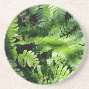 Spring Green Ferns boho botanisch Zandsteen Onderzetter