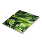 Spring Green Ferns botanisch groen bos uitzicht Tegeltje (Zijkant)