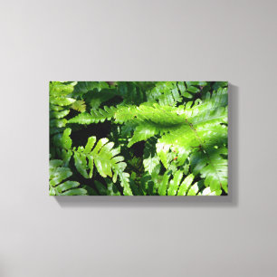Spring Green Ferns Canvas Afdruk