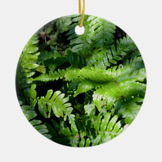 Spring Green Ferns Keramisch Ornament (Voorkant)