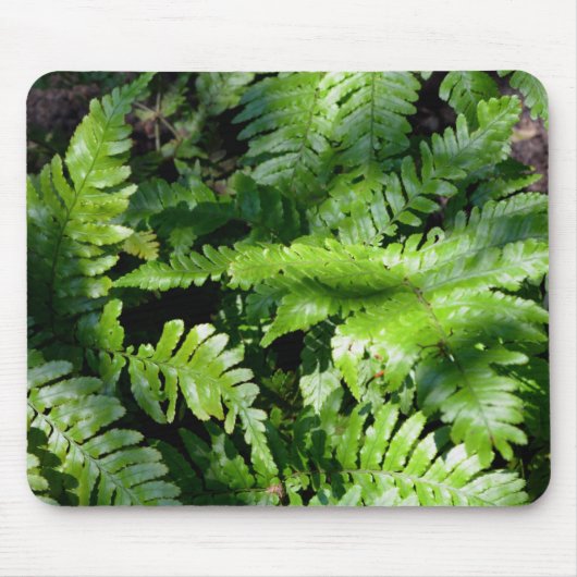Spring Green Ferns Muismat (Voorkant)