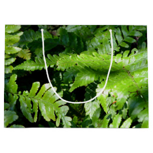 Spring Green Ferns tropisch botanisch groen Groot Cadeauzakje