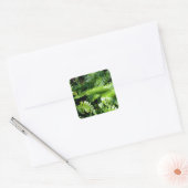Spring Green Ferns tropisch botanisch groen Vierkante Sticker (Envelop)