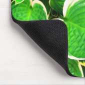 Spring green Hosta-bladeren Muismat (Hoek)