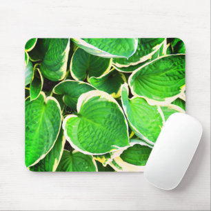 Spring green Hosta-bladeren Muismat