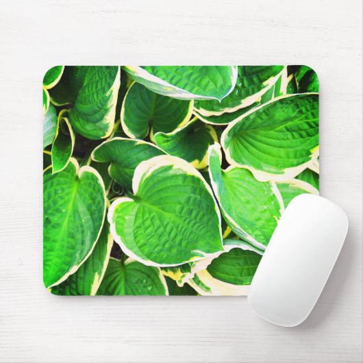 Spring green Hosta-bladeren Muismat (Met muis)
