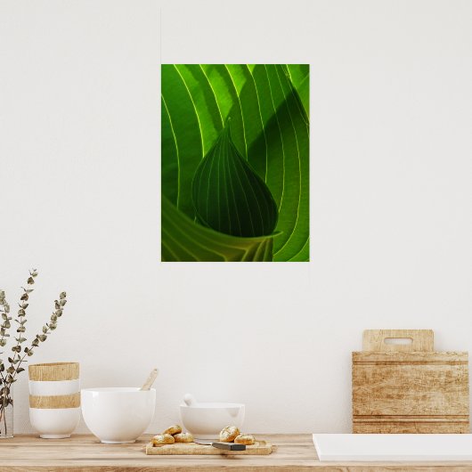 Spring Green Hosta Leaf Poster Print (Keuken)
