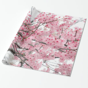 Spring Hanami Festival, Cherry Blossom Cadeaupapier