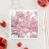 Spring Hanami Festival, Cherry Blossom Servet (Insitu)