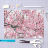 Spring Hanami Festival tissuepapier (Craft)