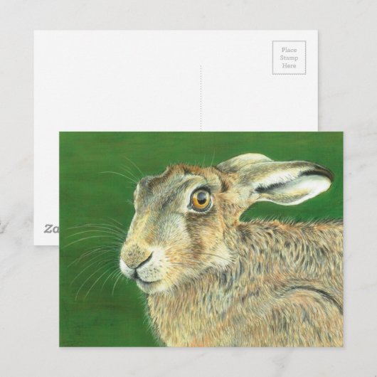 Spring Hare Briefkaart (Voorkant / Achterkant)