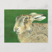 Spring Hare Briefkaart (Voorkant)
