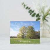 Spring has Sprung Briefkaart (Staand voorkant)