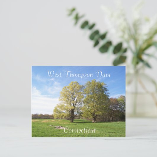 Spring has Sprung Briefkaart (Staand voorkant)