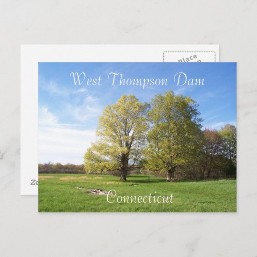 Spring has Sprung Briefkaart (Voorkant / Achterkant)