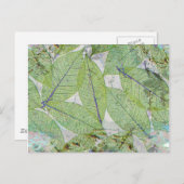 Spring has Sprung Briefkaart (Voorkant / Achterkant)