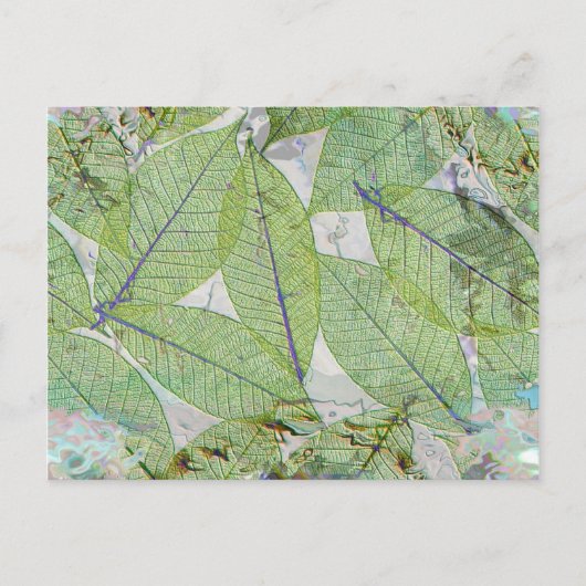 Spring has Sprung Briefkaart (Voorkant)