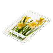 Spring heeft Sprung Yellow Daffodils Close-up foto Magneet (Linkerzijde)