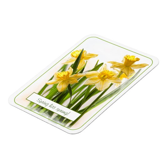 Spring heeft Sprung Yellow Daffodils Close-up foto Magneet (Linkerzijde)
