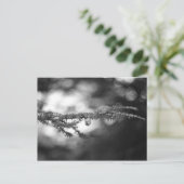 Spring Hope Pinecone Briefkaart (Staand voorkant)