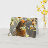 Spring House Finch Notecard Kaart (Gele Bloem)
