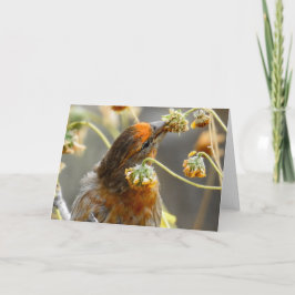 Spring House Finch Notecard Kaart