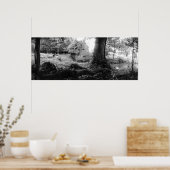 Spring House, Irving College Tennessee Poster (Keuken)