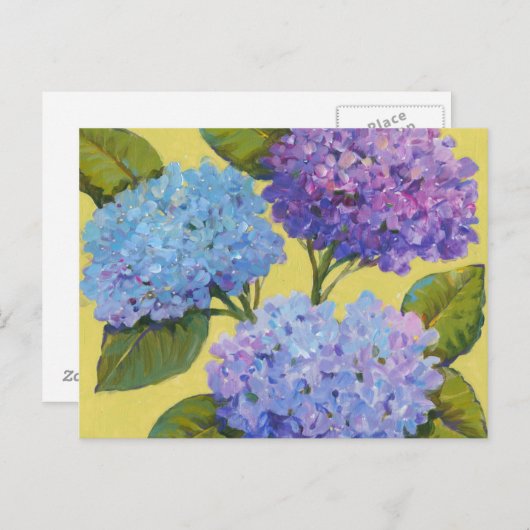 Spring Hydrangeas I Briefkaart (Voorkant / Achterkant)