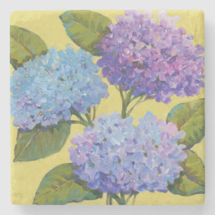 Spring Hydrangeas I Stenen Onderzetter