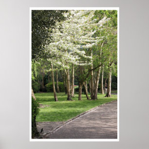 Spring Ierland Poster