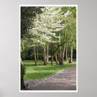 Spring Ierland Poster