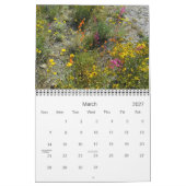 SPRING IN DE DESERT KALENDER (Mar 2027)