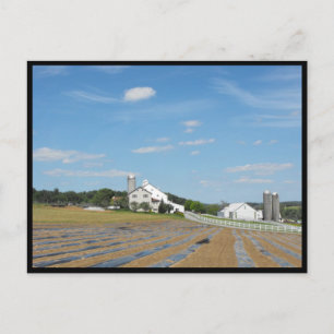 ~ Spring in Lancaster County ~ 73 Briefkaart