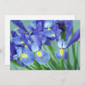 "Spring" Iris Flowers Fotouitnodiging Kaart (Voorkant / Achterkant)