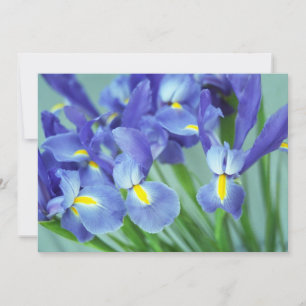 "Spring" Iris Flowers Fotouitnodiging Kaart
