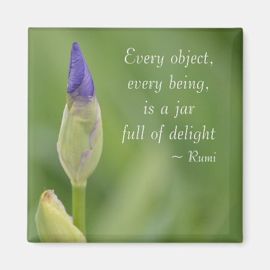 Spring Iris Magneet (Voorkant)