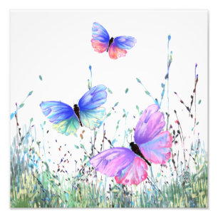 Spring Joy - Colorful Butterflies die vliegen in N Foto Afdruk