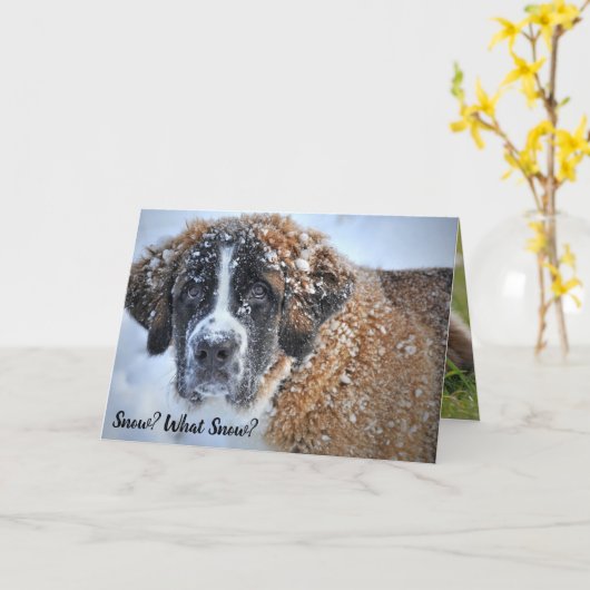 Spring komt uit St. Bernard Cute Bunny Kaart (Gele Bloem)