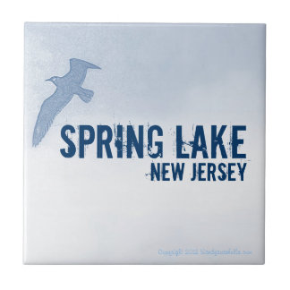 SPRING LAKE NEW JERSEY (NJ) keramische teile Tegeltje