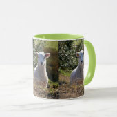Spring Lamb Mok (Voorkant rechts)